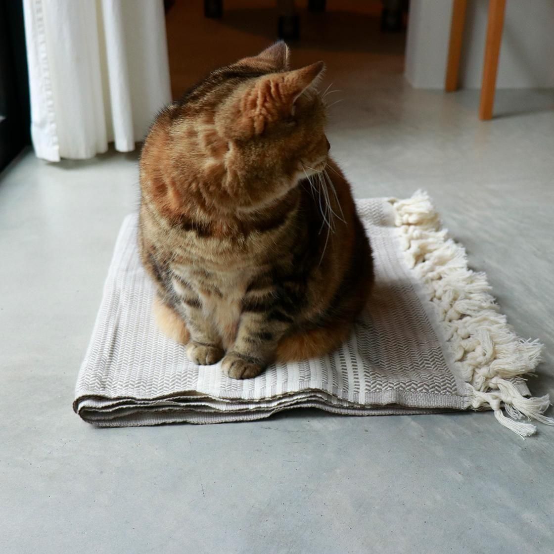 <img class='new_mark_img1' src='https://img.shop-pro.jp/img/new/icons57.gif' style='border:none;display:inline;margin:0px;padding:0px;width:auto;' />ȥ륳 꿥Υ˥ååȡLINEN / COTTON