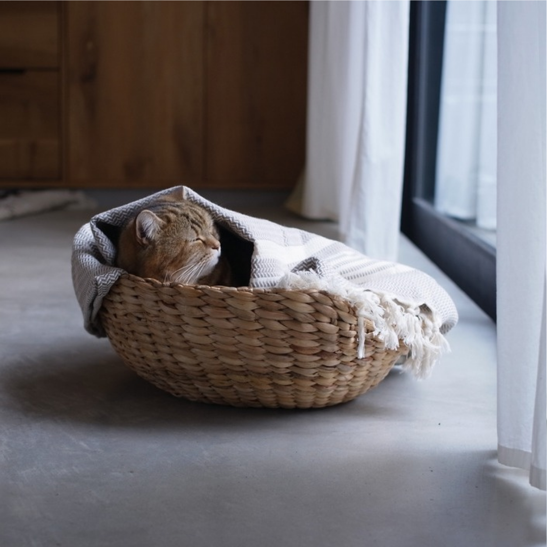 <img class='new_mark_img1' src='https://img.shop-pro.jp/img/new/icons57.gif' style='border:none;display:inline;margin:0px;padding:0px;width:auto;' />ȥ륳 꿥Υ˥ååȡLINEN / COTTON