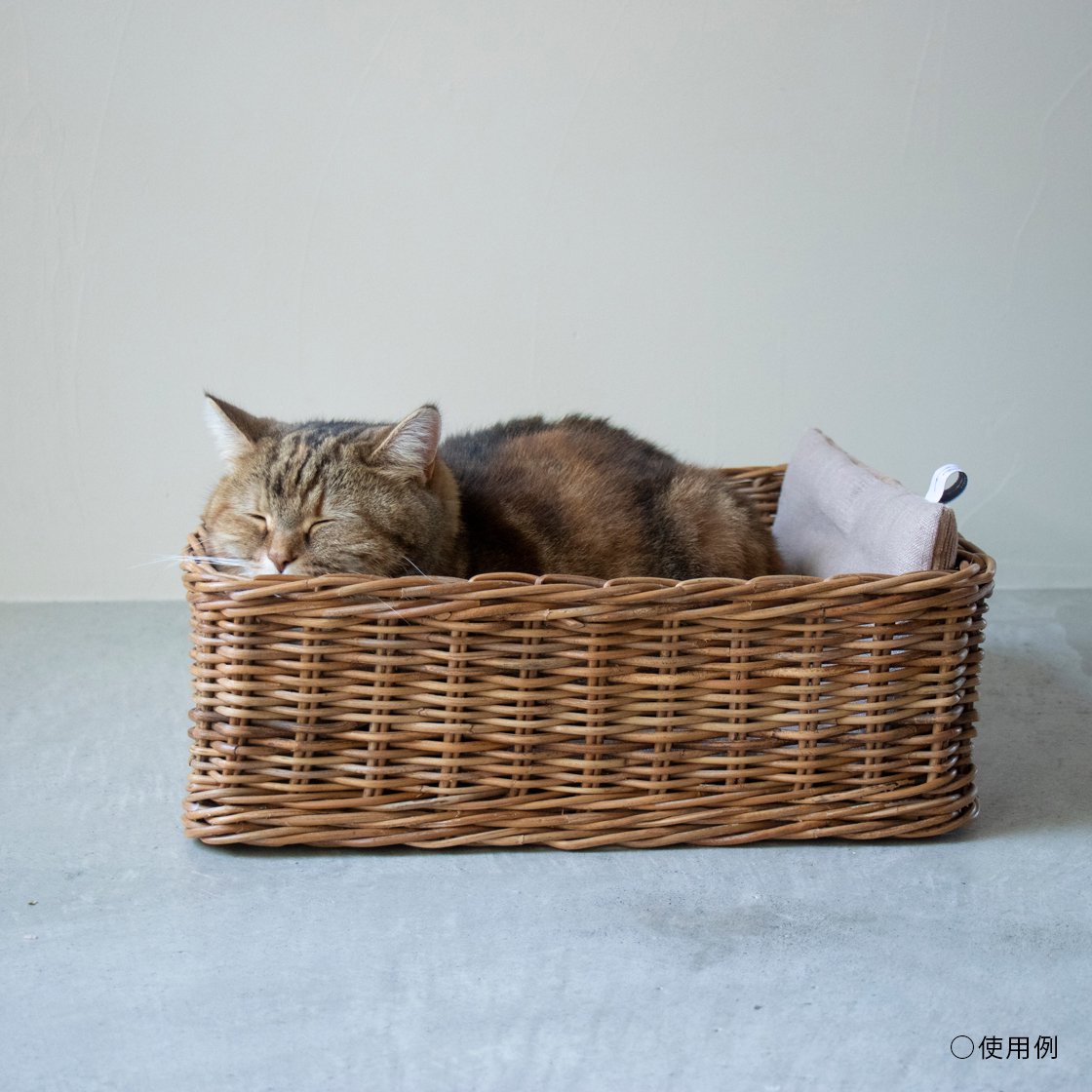 2WAY CAT-BOX（ケーブル収納BOX）
