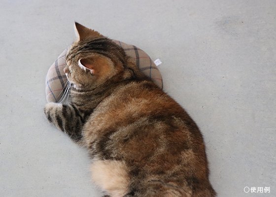 キャットピロー クロワッサン キリムBEG001【タッセル付き】猫用枕