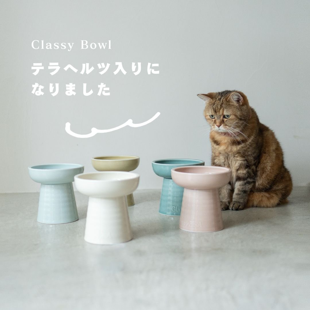 NECOTO Classy Bowl【6インチ】＆Yummy Slopeのセット-