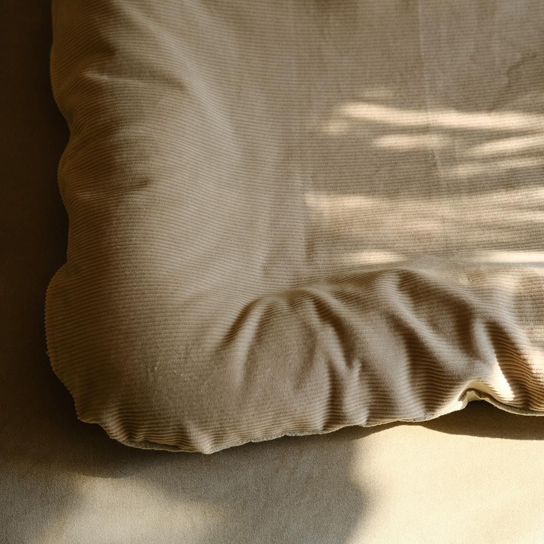 <img class='new_mark_img1' src='https://img.shop-pro.jp/img/new/icons57.gif' style='border:none;display:inline;margin:0px;padding:0px;width:auto;' />12/ȯء٥å(奤ʡդ) For Cat