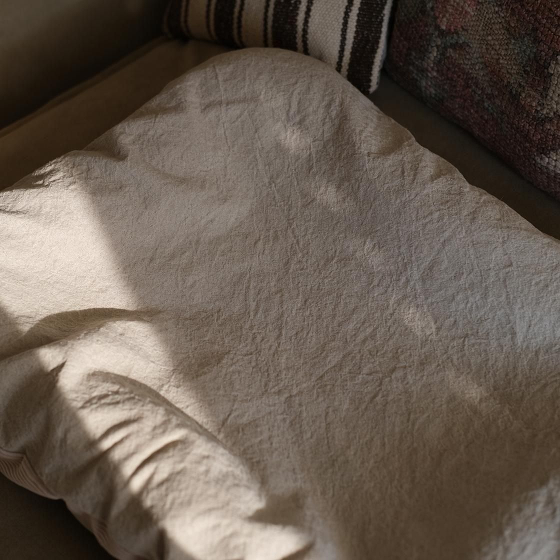 <img class='new_mark_img1' src='https://img.shop-pro.jp/img/new/icons57.gif' style='border:none;display:inline;margin:0px;padding:0px;width:auto;' />12/ȯء٥å(奤ʡդ) For Cat