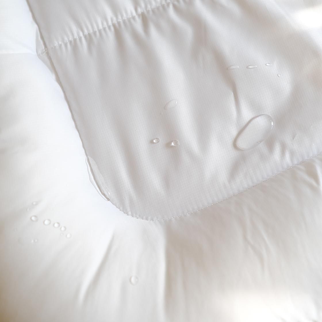 <img class='new_mark_img1' src='https://img.shop-pro.jp/img/new/icons57.gif' style='border:none;display:inline;margin:0px;padding:0px;width:auto;' />12/ȯء٥å(奤ʡդ) For Cat