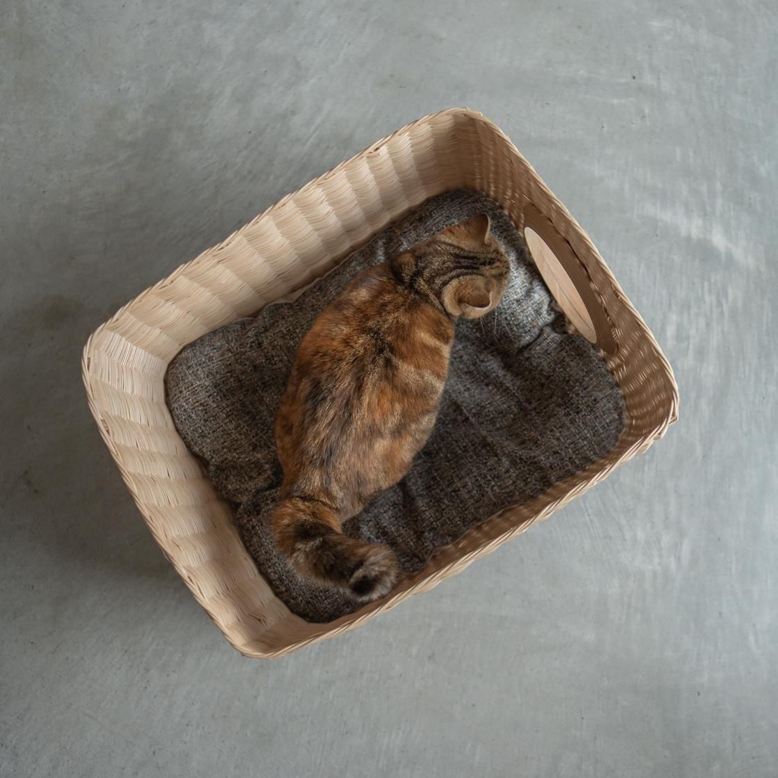 <img class='new_mark_img1' src='https://img.shop-pro.jp/img/new/icons57.gif' style='border:none;display:inline;margin:0px;padding:0px;width:auto;' />12/ȯء٥å(奤ʡդ) For Cat