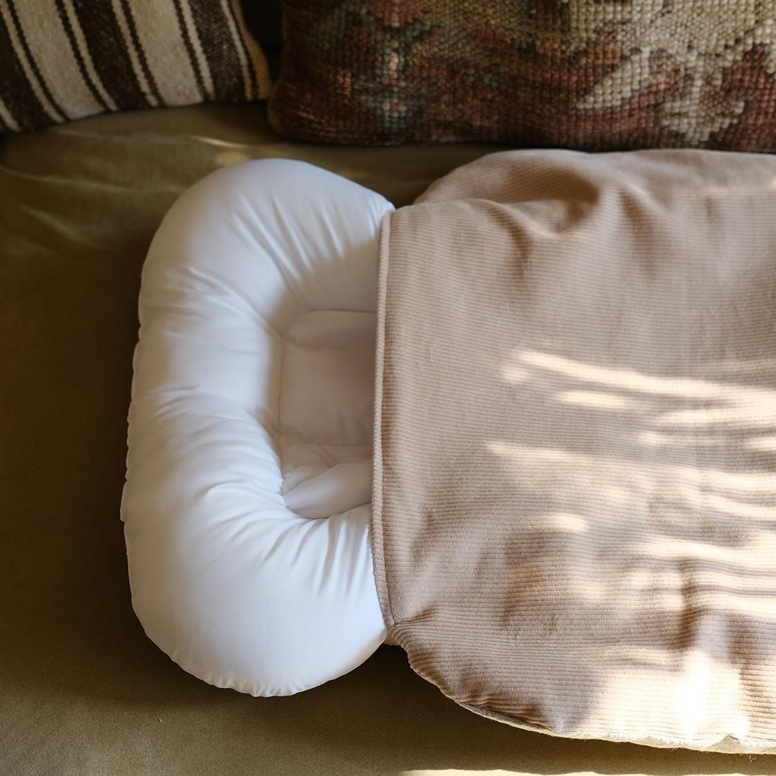 <img class='new_mark_img1' src='https://img.shop-pro.jp/img/new/icons57.gif' style='border:none;display:inline;margin:0px;padding:0px;width:auto;' />12/ȯء٥å(奤ʡդ) For Cat