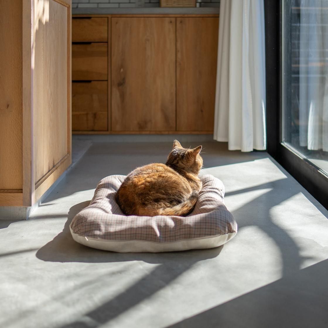 <img class='new_mark_img1' src='https://img.shop-pro.jp/img/new/icons57.gif' style='border:none;display:inline;margin:0px;padding:0px;width:auto;' />12/ȯء٥å(奤ʡդ) For Cat