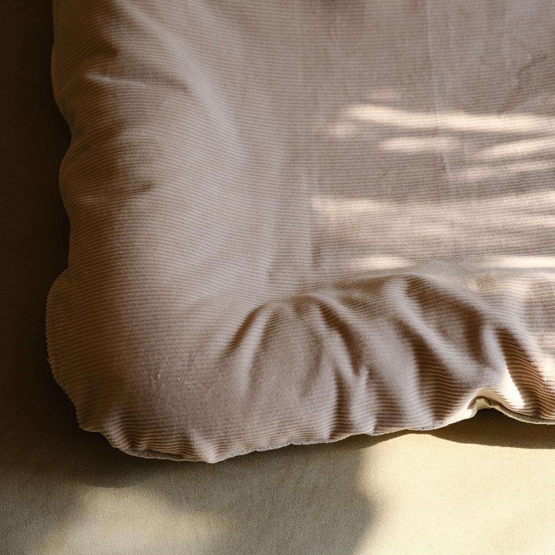 <img class='new_mark_img1' src='https://img.shop-pro.jp/img/new/icons57.gif' style='border:none;display:inline;margin:0px;padding:0px;width:auto;' />12/ȯء٥å(奤ʡդ) For Cat