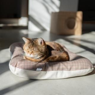 猫用 ウォーターヒアシンス ラウンドベッド｜猫とインテリアnecoto.