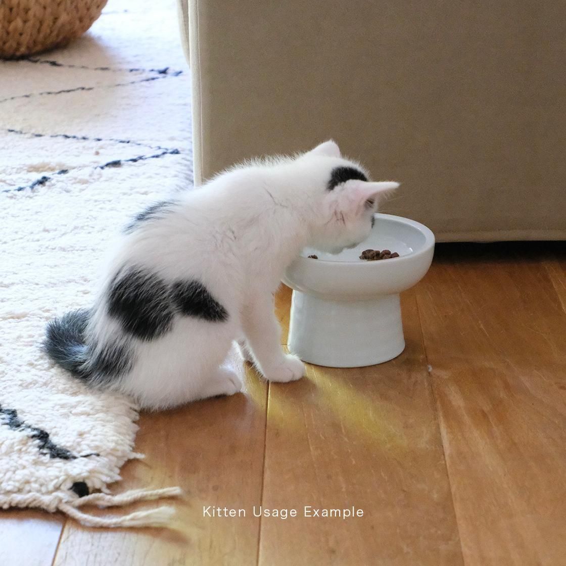 Classy Bowl5/硼/THzʥ硼ȥåѡˡYummy Standå