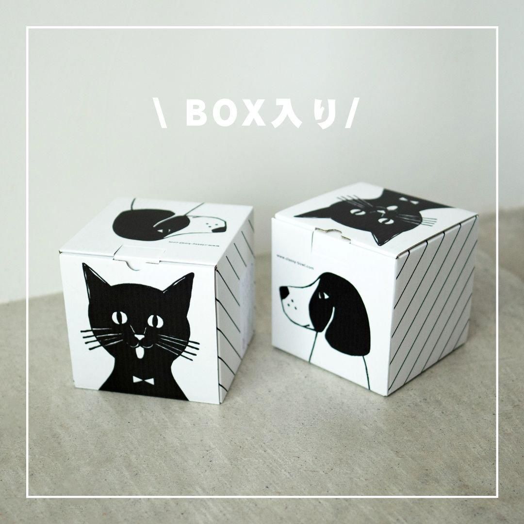 Classy Bowl5/硼/THzʥ硼ȥåѡˡYummy Standå