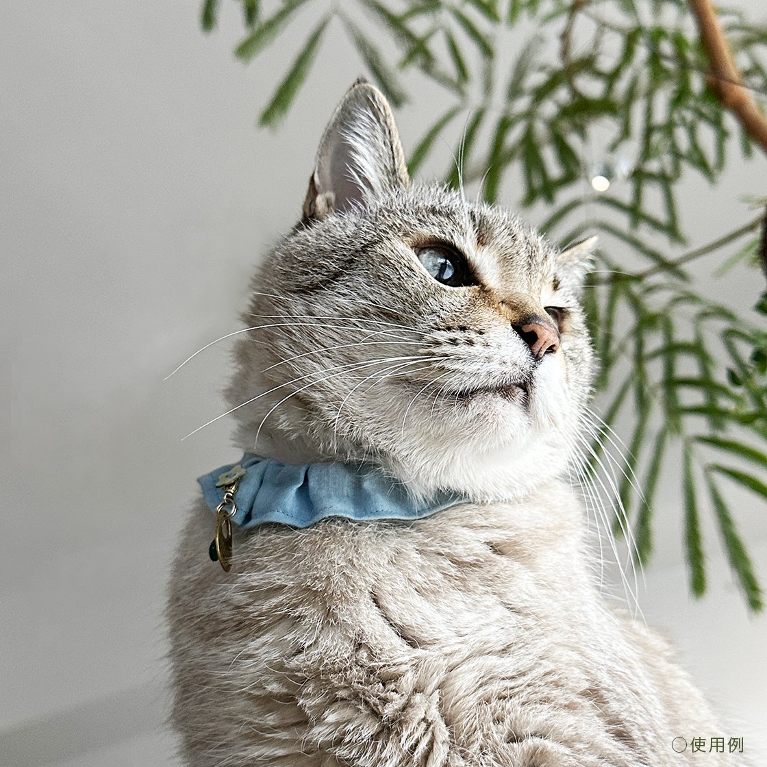 テラヘルツ THz 猫のおはげ予防首輪/フリルタイプ【インド綿/フラワー 