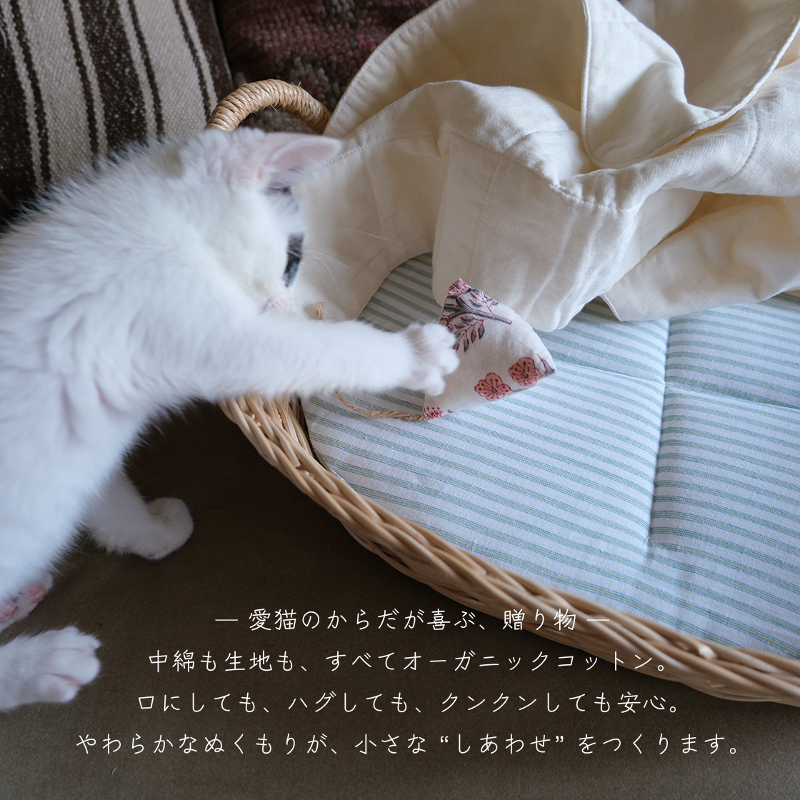 <img class='new_mark_img1' src='https://img.shop-pro.jp/img/new/icons57.gif' style='border:none;display:inline;margin:0px;padding:0px;width:auto;' />SUSTAINYA 㢤Ȣ2SET