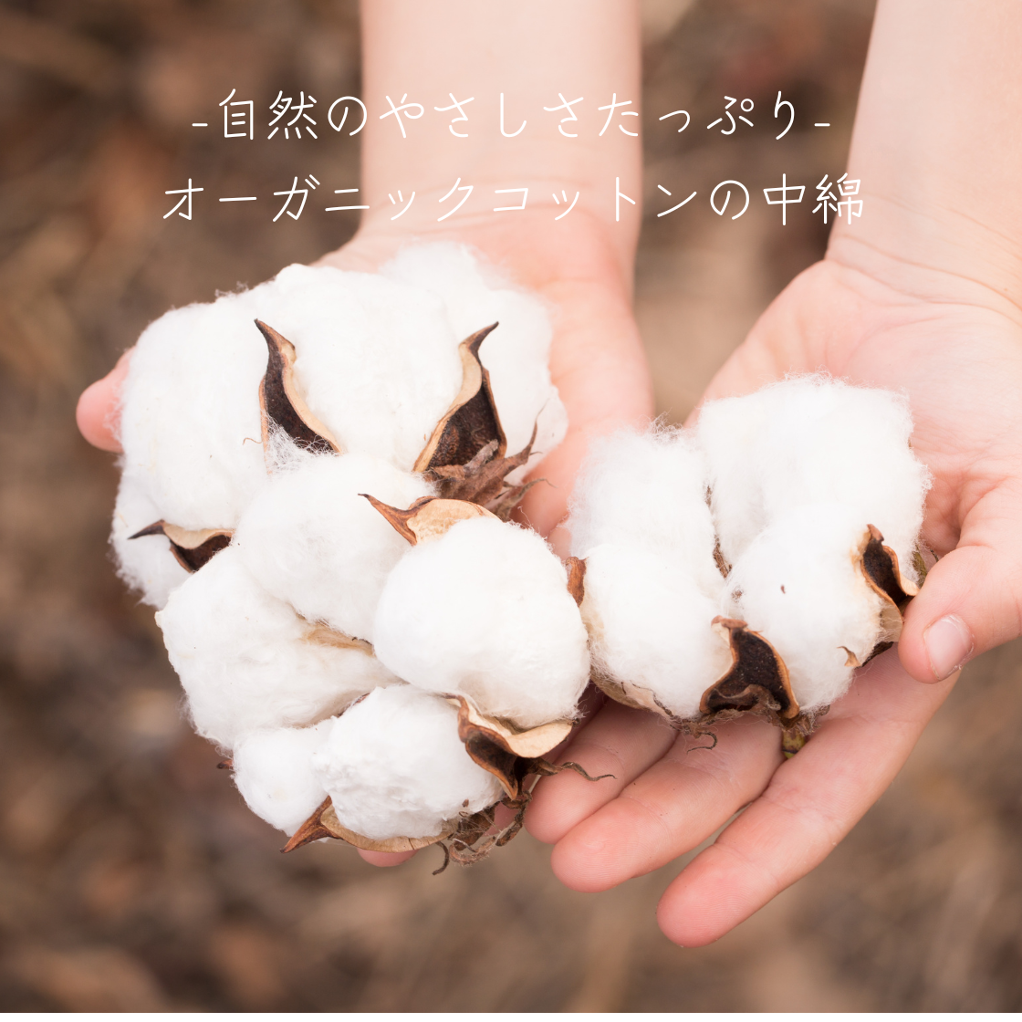 <img class='new_mark_img1' src='https://img.shop-pro.jp/img/new/icons57.gif' style='border:none;display:inline;margin:0px;padding:0px;width:auto;' />SUSTAINYA 㢤Ȣ2SET