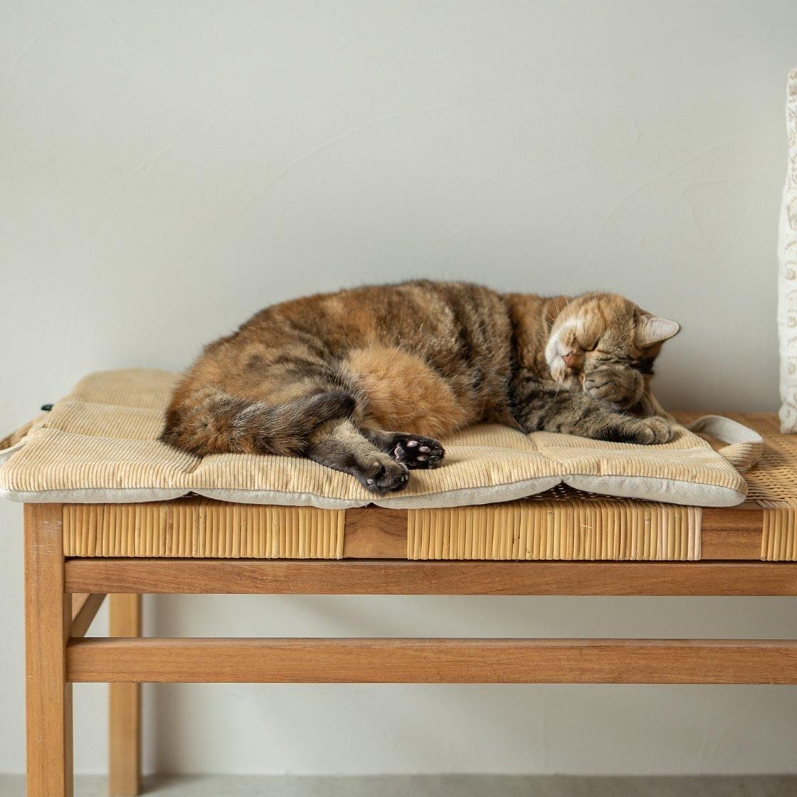 <img class='new_mark_img1' src='https://img.shop-pro.jp/img/new/icons57.gif' style='border:none;display:inline;margin:0px;padding:0px;width:auto;' />ϥɥդ䤹餮ޥå