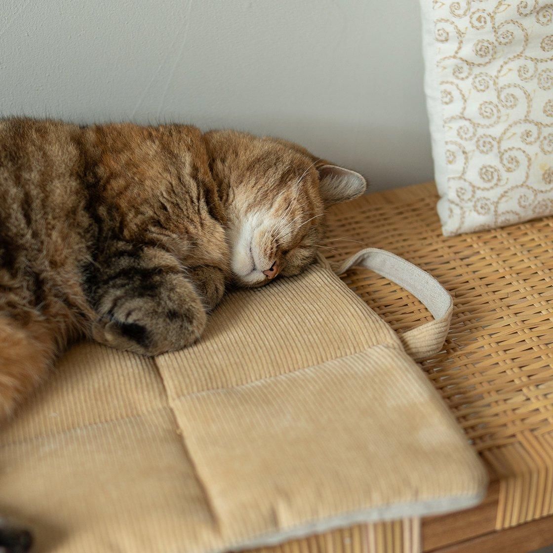 <img class='new_mark_img1' src='https://img.shop-pro.jp/img/new/icons57.gif' style='border:none;display:inline;margin:0px;padding:0px;width:auto;' />ϥɥդ䤹餮ޥå