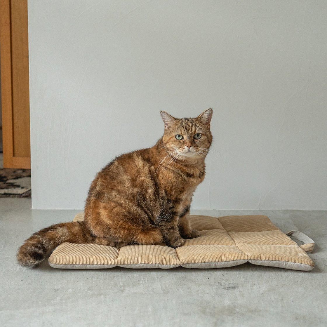 <img class='new_mark_img1' src='https://img.shop-pro.jp/img/new/icons57.gif' style='border:none;display:inline;margin:0px;padding:0px;width:auto;' />ϥɥդ䤹餮ޥå