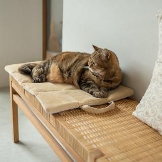 necoto ねこプフ NECOTO ®