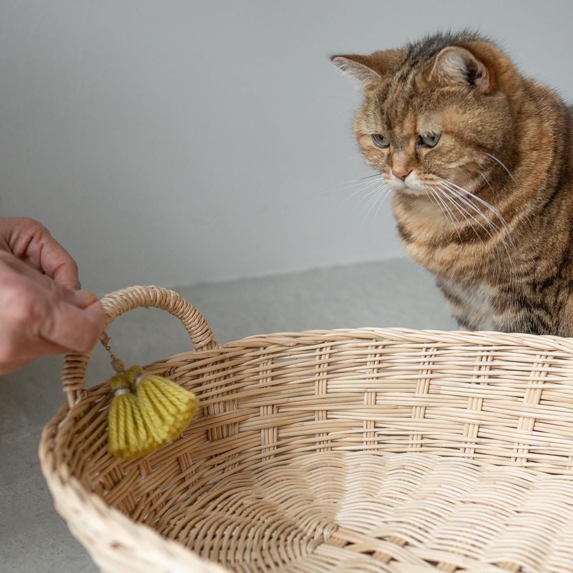 <img class='new_mark_img1' src='https://img.shop-pro.jp/img/new/icons57.gif' style='border:none;display:inline;margin:0px;padding:0px;width:auto;' />ڥ 륭åȥ٥å / moily  NECOTO