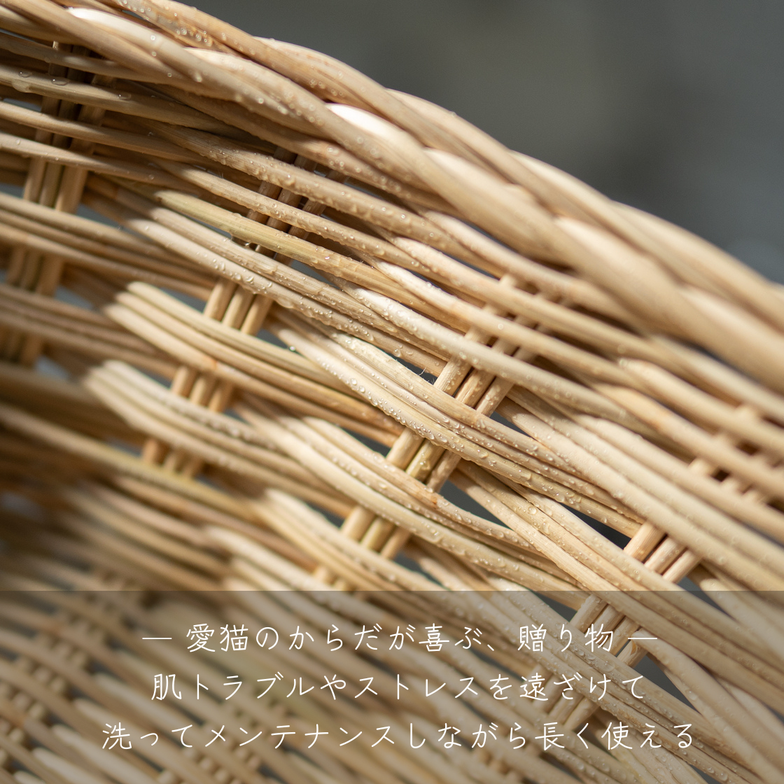 <img class='new_mark_img1' src='https://img.shop-pro.jp/img/new/icons57.gif' style='border:none;display:inline;margin:0px;padding:0px;width:auto;' />ڥ 륭åȥ٥å / moily  NECOTO