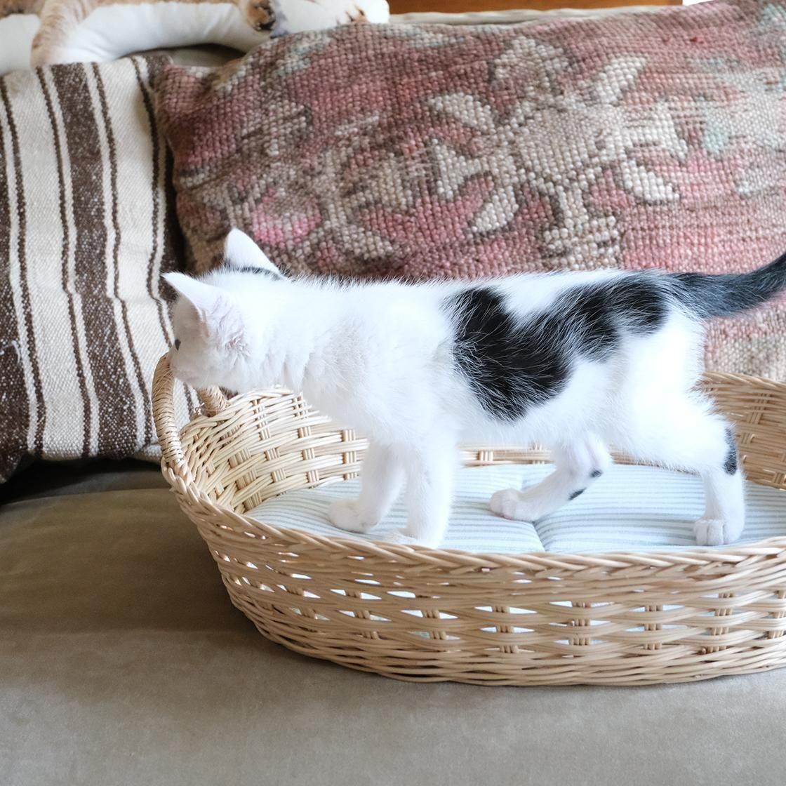 <img class='new_mark_img1' src='https://img.shop-pro.jp/img/new/icons57.gif' style='border:none;display:inline;margin:0px;padding:0px;width:auto;' />NECOTO Х ޥޥå