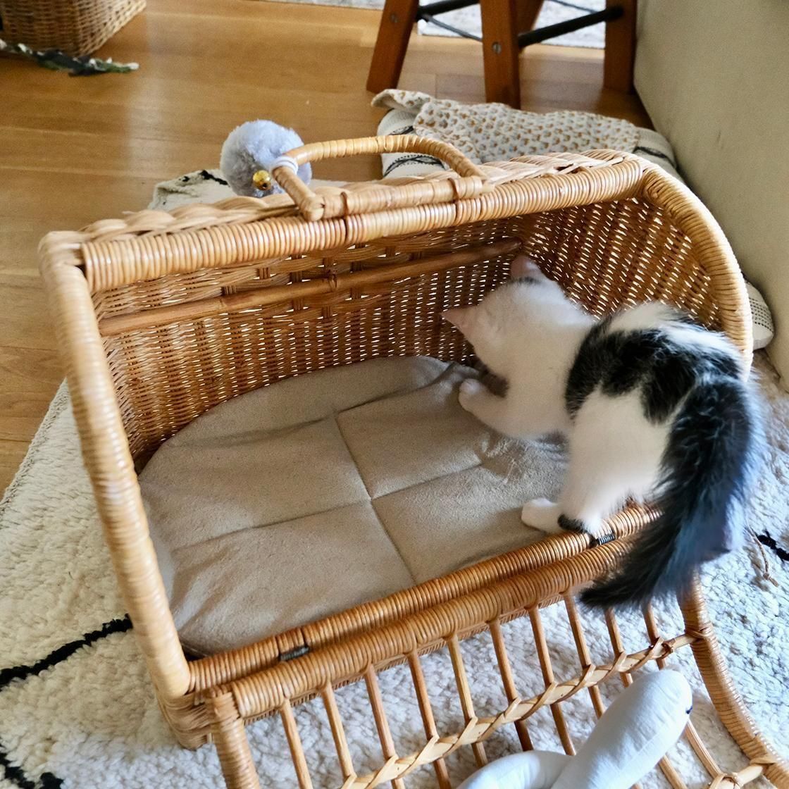 <img class='new_mark_img1' src='https://img.shop-pro.jp/img/new/icons57.gif' style='border:none;display:inline;margin:0px;padding:0px;width:auto;' />NECOTO Х ޥޥå