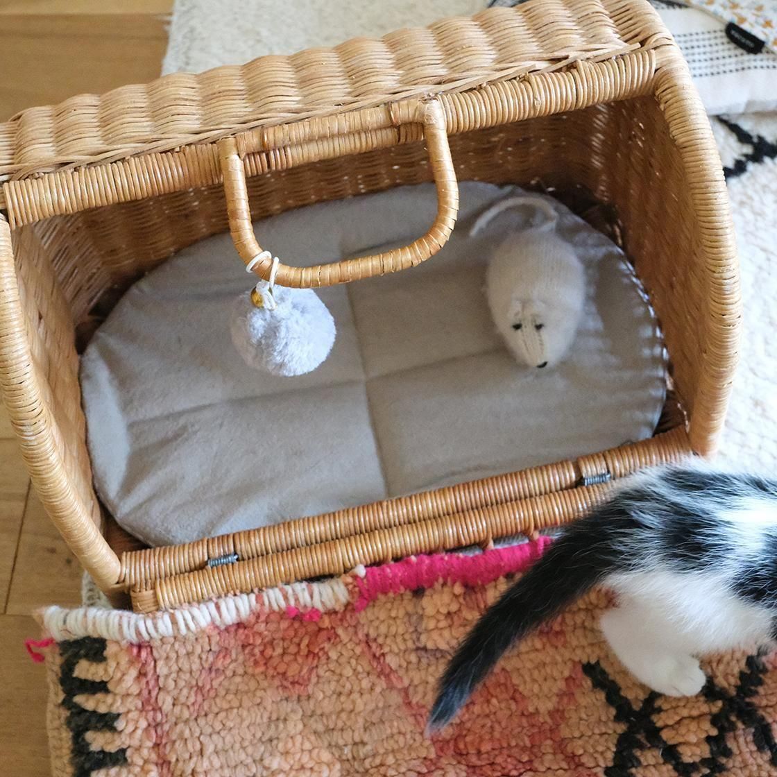 <img class='new_mark_img1' src='https://img.shop-pro.jp/img/new/icons57.gif' style='border:none;display:inline;margin:0px;padding:0px;width:auto;' />NECOTO Х ޥޥå