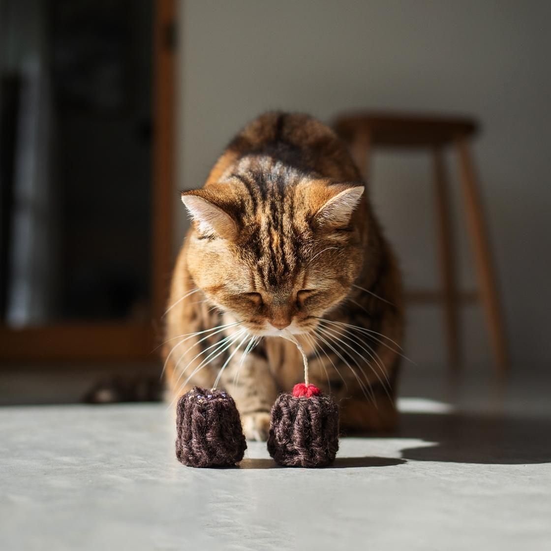 <img class='new_mark_img1' src='https://img.shop-pro.jp/img/new/icons57.gif' style='border:none;display:inline;margin:0px;padding:0px;width:auto;' />Canele wool toy2set / 1007.  NECOTO
