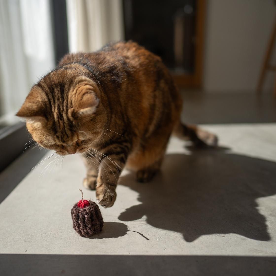 <img class='new_mark_img1' src='https://img.shop-pro.jp/img/new/icons57.gif' style='border:none;display:inline;margin:0px;padding:0px;width:auto;' />Canele wool toy2set / 1007.  NECOTO
