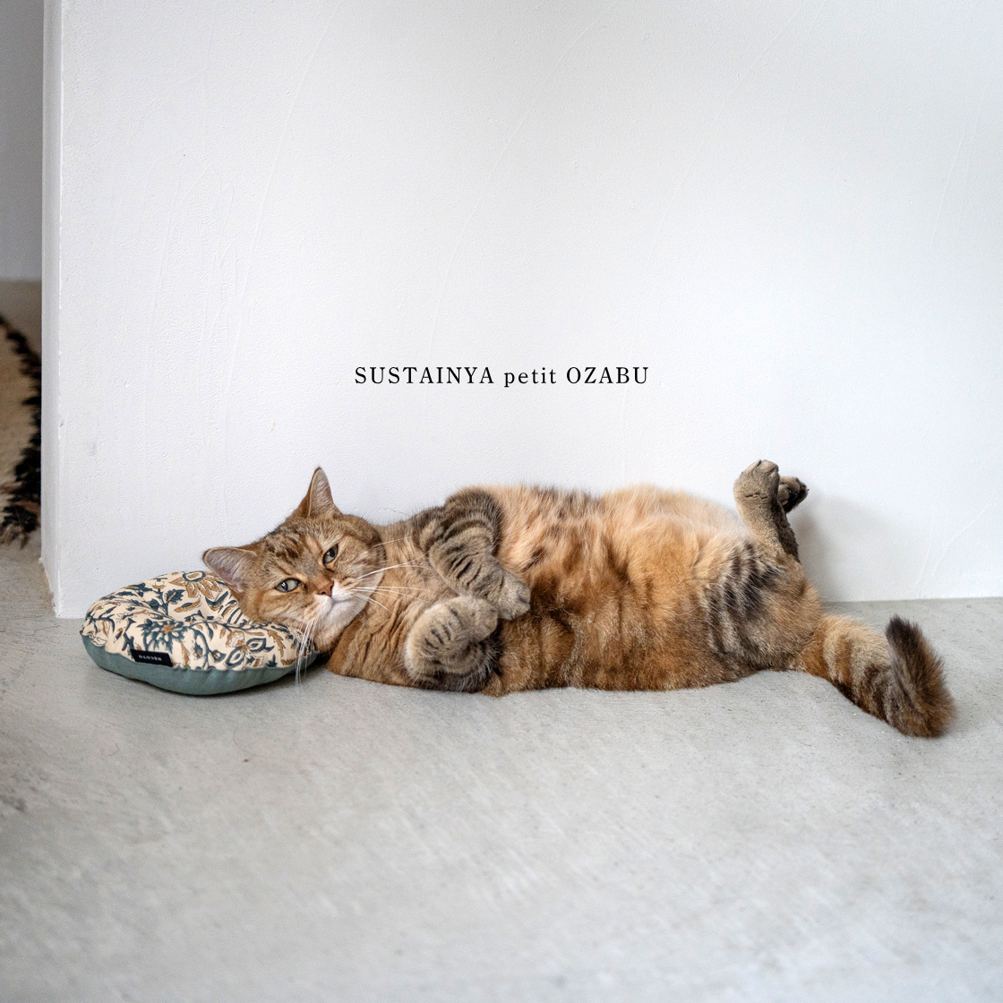 <img class='new_mark_img1' src='https://img.shop-pro.jp/img/new/icons5.gif' style='border:none;display:inline;margin:0px;padding:0px;width:auto;' />SUSTAINYA petit OZABUǭ