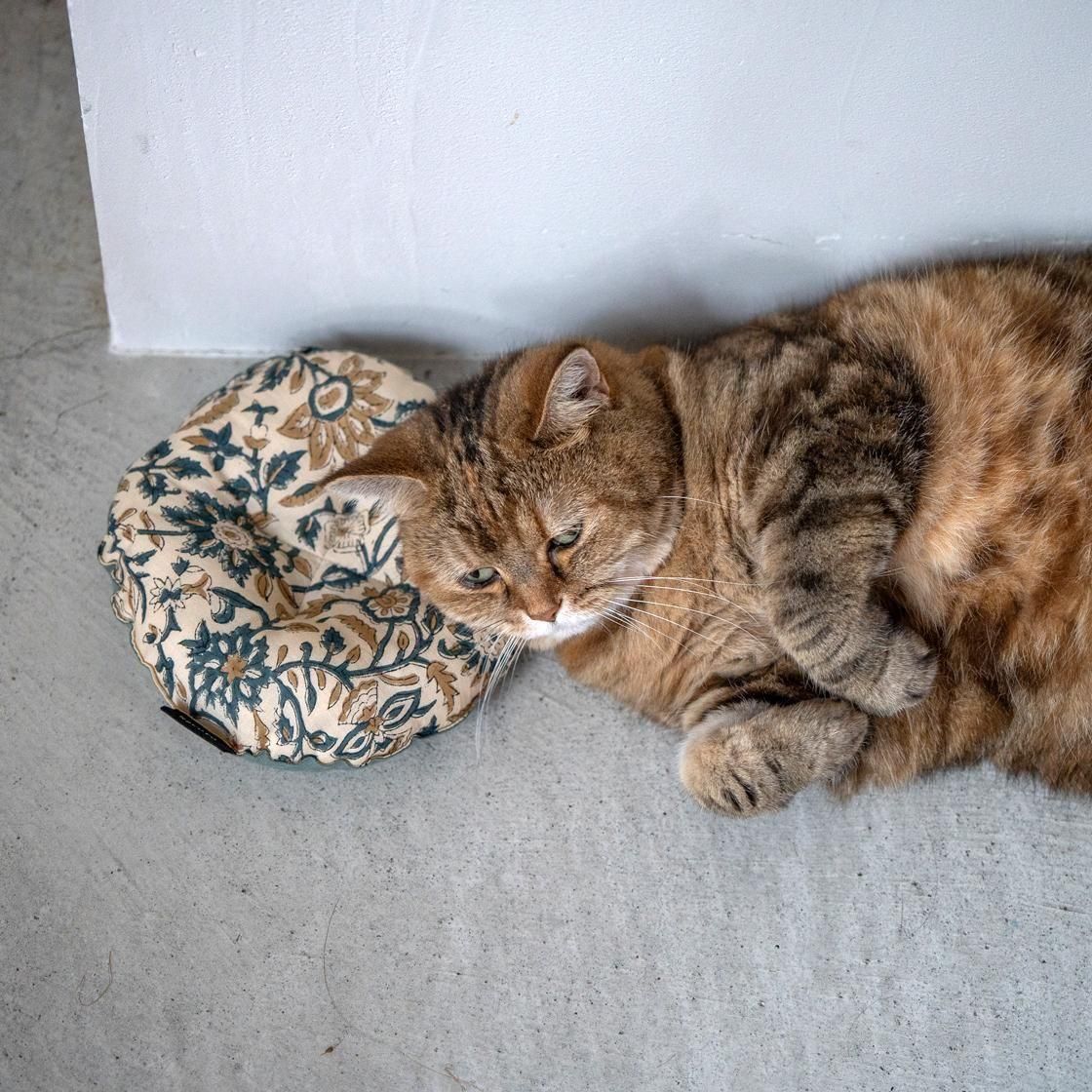 <img class='new_mark_img1' src='https://img.shop-pro.jp/img/new/icons5.gif' style='border:none;display:inline;margin:0px;padding:0px;width:auto;' />SUSTAINYA petit OZABUǭ