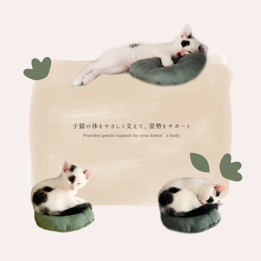 <img class='new_mark_img1' src='https://img.shop-pro.jp/img/new/icons5.gif' style='border:none;display:inline;margin:0px;padding:0px;width:auto;' />SUSTAINYA petit OZABUǭ
