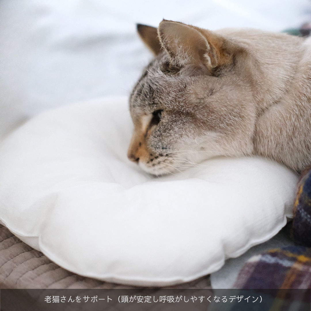 <img class='new_mark_img1' src='https://img.shop-pro.jp/img/new/icons5.gif' style='border:none;display:inline;margin:0px;padding:0px;width:auto;' />SUSTAINYA petit OZABUǭ