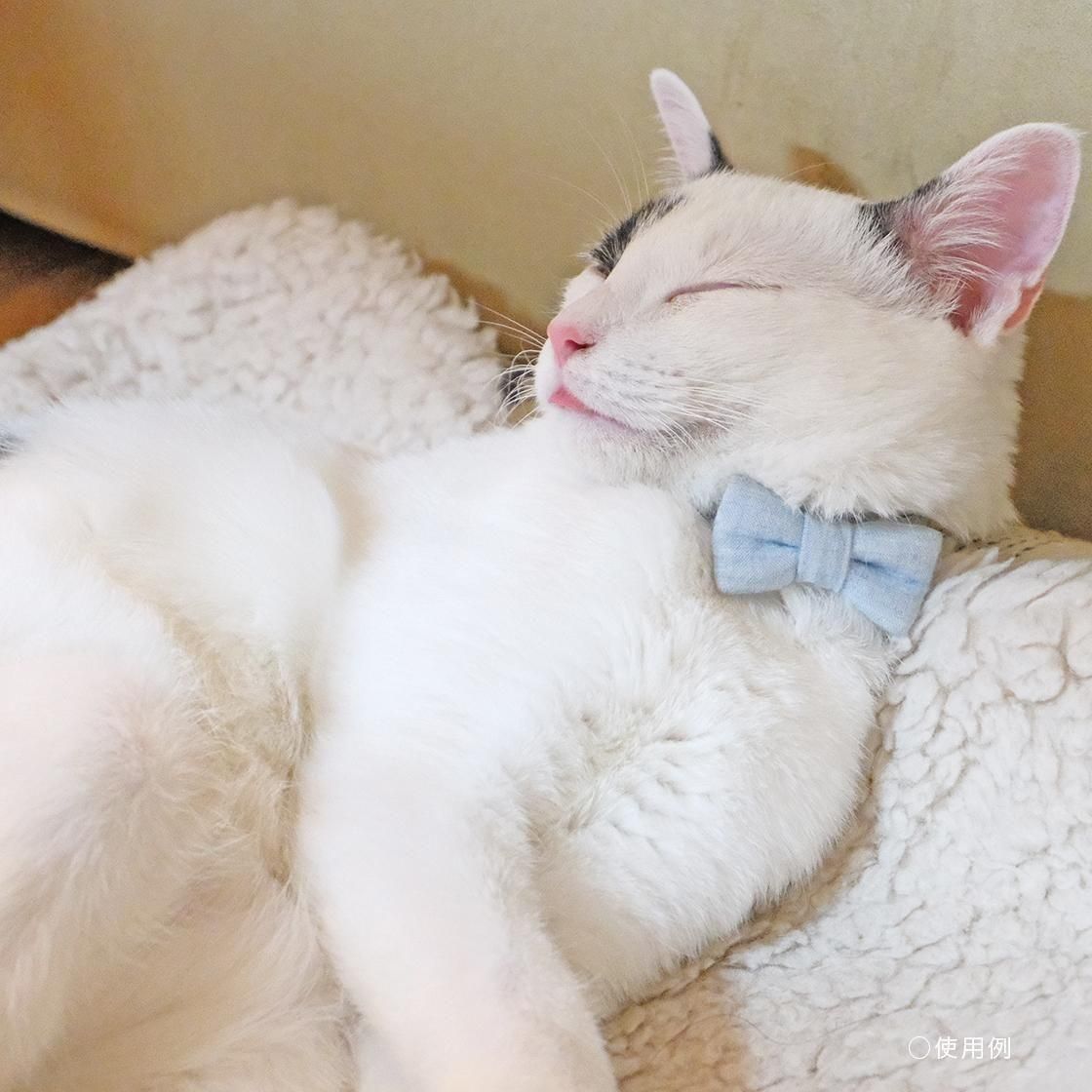 <img class='new_mark_img1' src='https://img.shop-pro.jp/img/new/icons5.gif' style='border:none;display:inline;margin:0px;padding:0px;width:auto;' />TERA CAT 顼/ܥءڥʡФΥ󥬥