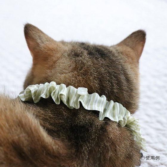 <img class='new_mark_img1' src='https://img.shop-pro.jp/img/new/icons5.gif' style='border:none;display:inline;margin:0px;padding:0px;width:auto;' />TERA CAT 顼/ϤͽɥեءڥʡФΥ󥬥ۡĹĴĤ