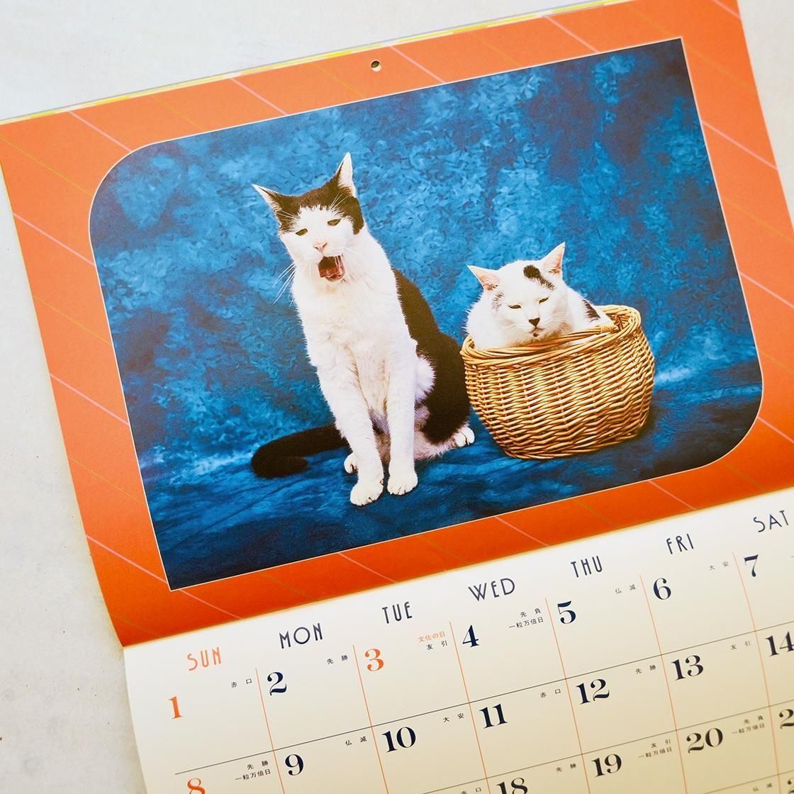 <img class='new_mark_img1' src='https://img.shop-pro.jp/img/new/icons5.gif' style='border:none;display:inline;margin:0px;padding:0px;width:auto;' />Precious Cat Memories Calendar ǭ̿ 2026ǯʼ̿