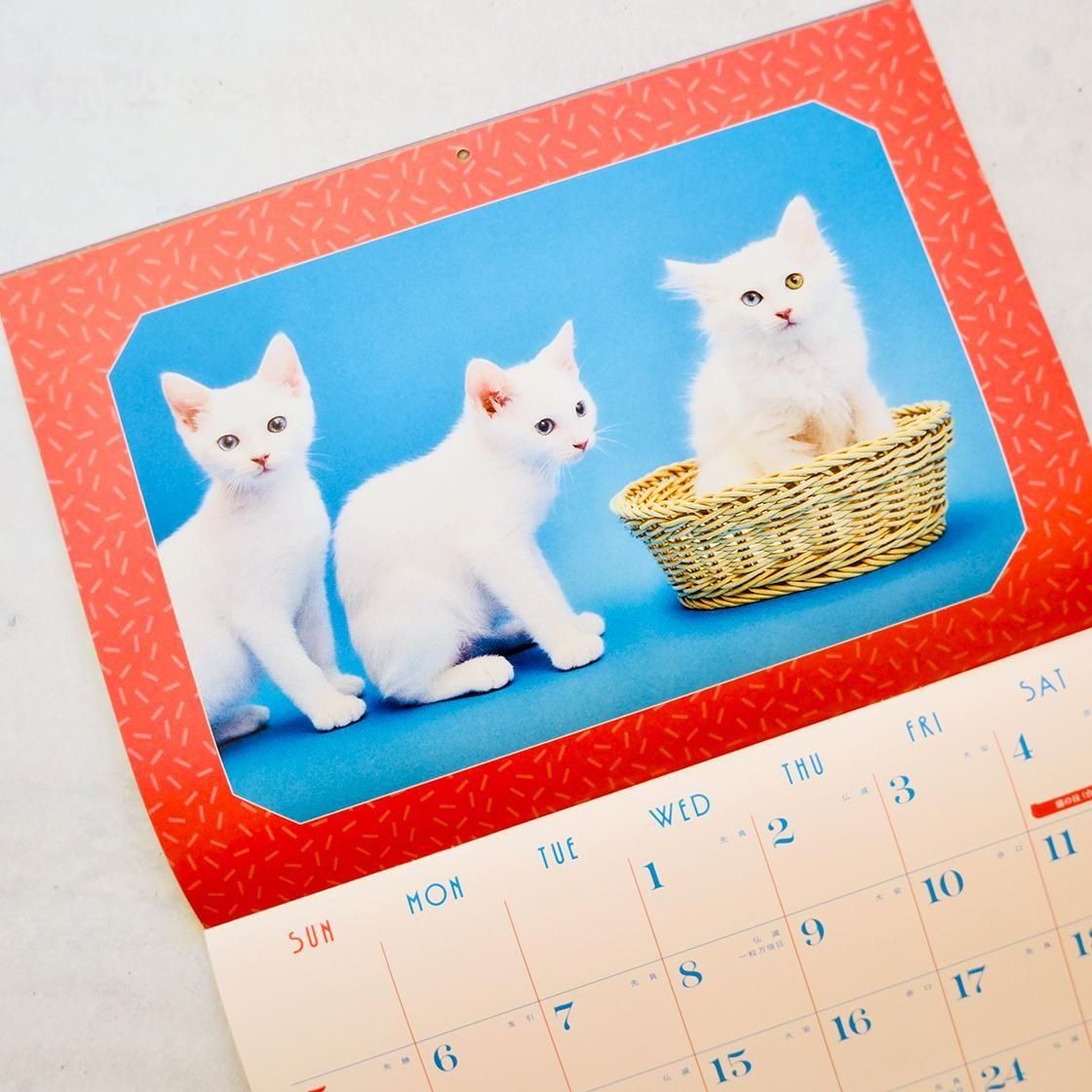 <img class='new_mark_img1' src='https://img.shop-pro.jp/img/new/icons5.gif' style='border:none;display:inline;margin:0px;padding:0px;width:auto;' />Precious Cat Memories Calendar ǭ̿ 2026ǯʼ̿