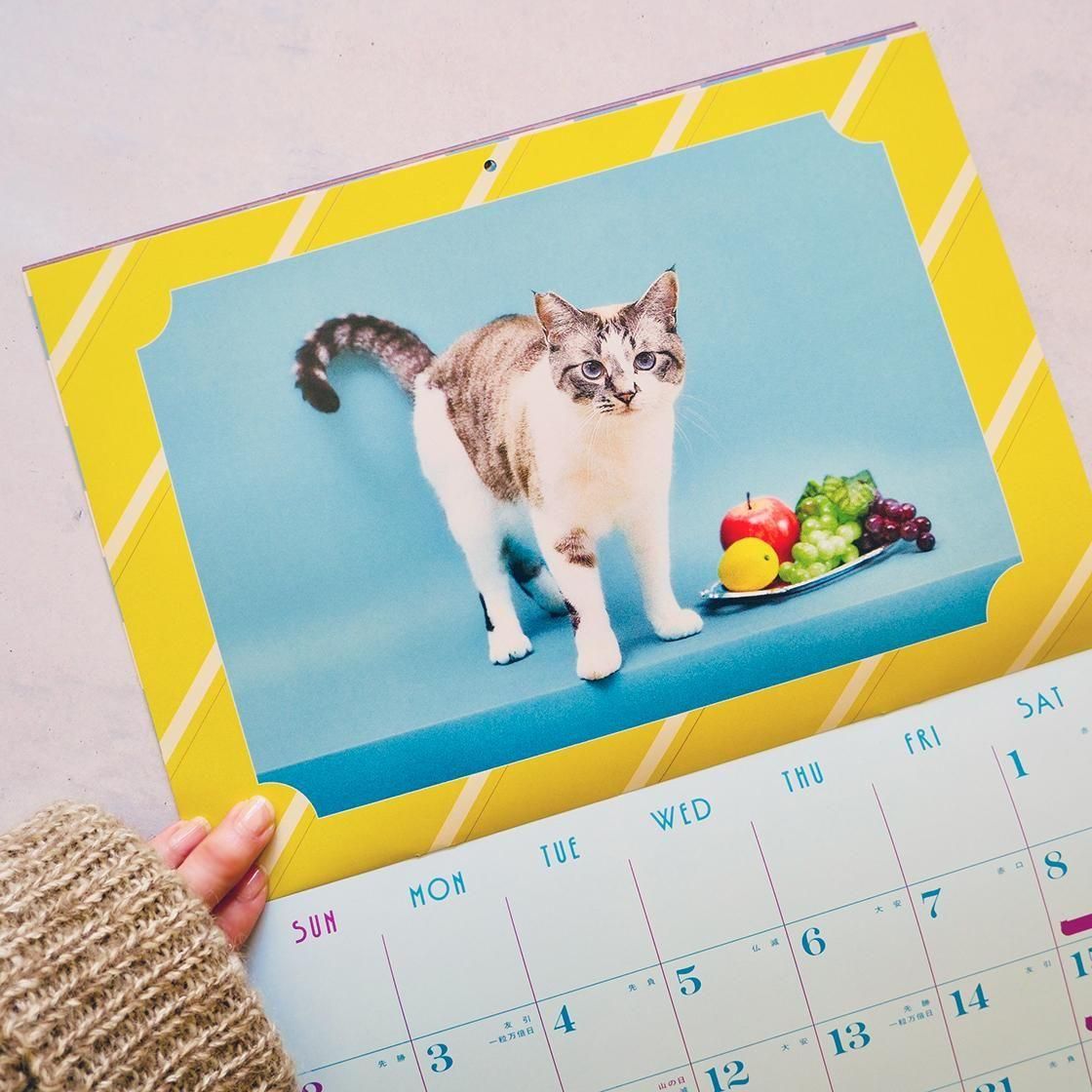 <img class='new_mark_img1' src='https://img.shop-pro.jp/img/new/icons5.gif' style='border:none;display:inline;margin:0px;padding:0px;width:auto;' />Precious Cat Memories Calendar ǭ̿ 2026ǯʼ̿