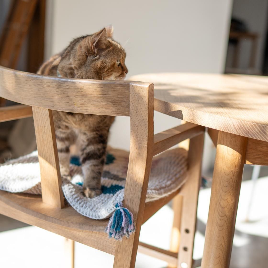 <img class='new_mark_img1' src='https://img.shop-pro.jp/img/new/icons5.gif' style='border:none;display:inline;margin:0px;padding:0px;width:auto;' />եա९å/ 1007.rug_cushion
