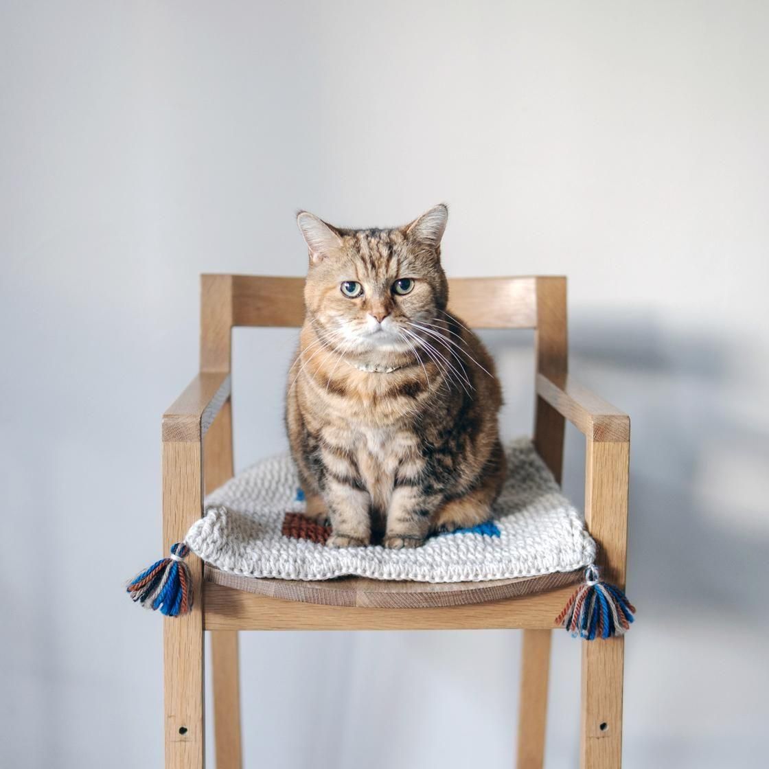 <img class='new_mark_img1' src='https://img.shop-pro.jp/img/new/icons5.gif' style='border:none;display:inline;margin:0px;padding:0px;width:auto;' />եա९å/ 1007.rug_cushion
