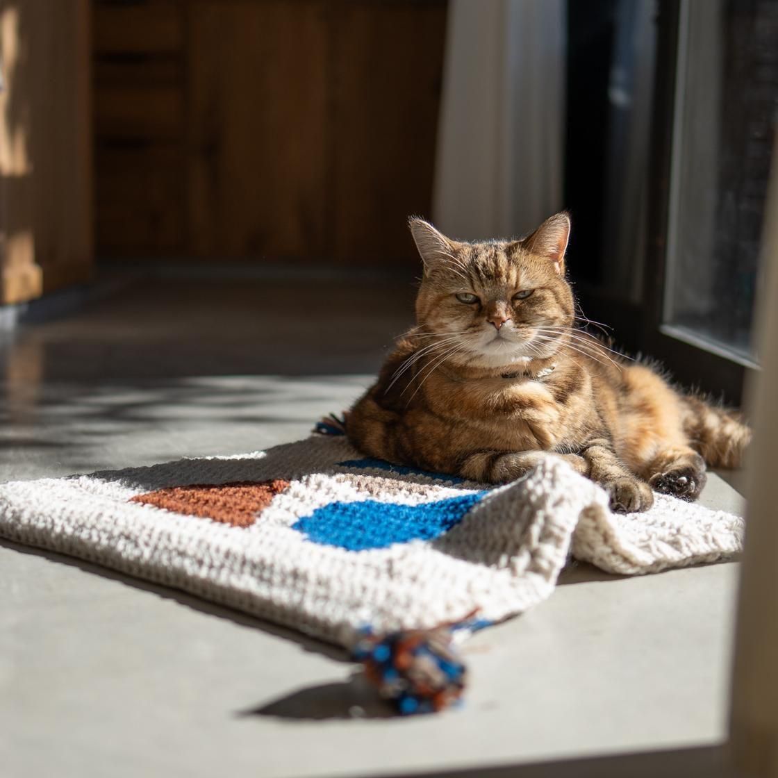 <img class='new_mark_img1' src='https://img.shop-pro.jp/img/new/icons5.gif' style='border:none;display:inline;margin:0px;padding:0px;width:auto;' />եա९å/ 1007.rug_cushion
