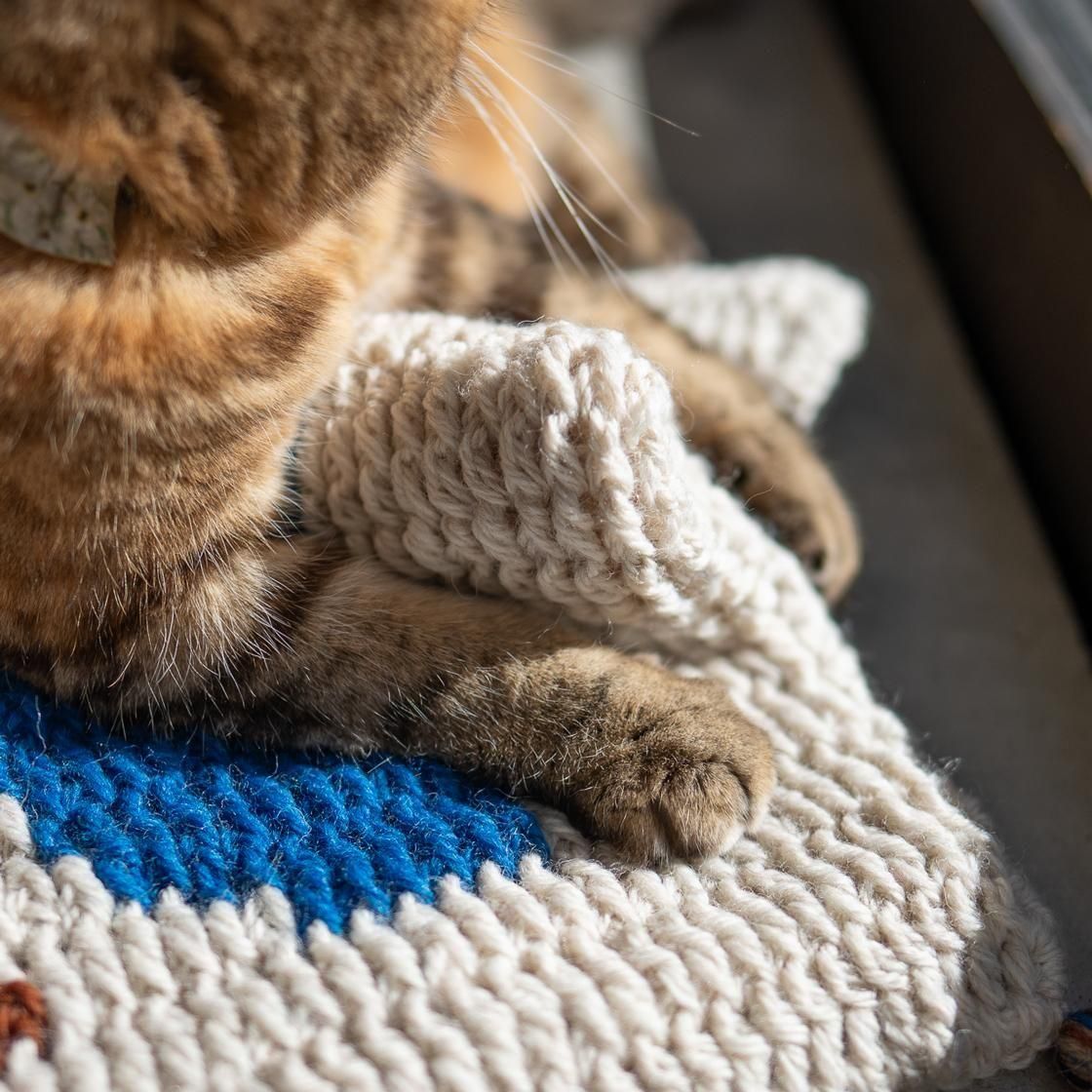 <img class='new_mark_img1' src='https://img.shop-pro.jp/img/new/icons5.gif' style='border:none;display:inline;margin:0px;padding:0px;width:auto;' />եա९å/ 1007.rug_cushion
