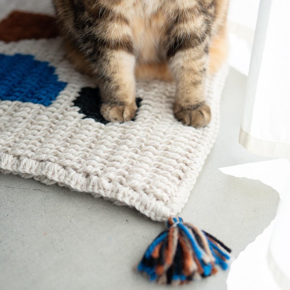 <img class='new_mark_img1' src='https://img.shop-pro.jp/img/new/icons5.gif' style='border:none;display:inline;margin:0px;padding:0px;width:auto;' />եա९å/ 1007.rug_cushion
