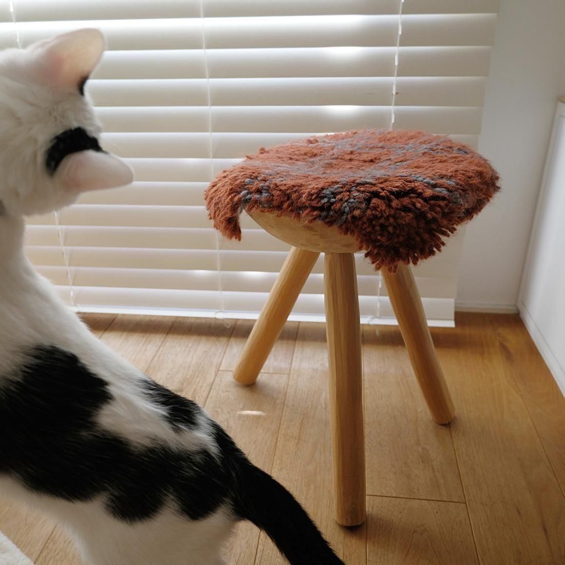 <img class='new_mark_img1' src='https://img.shop-pro.jp/img/new/icons5.gif' style='border:none;display:inline;margin:0px;padding:0px;width:auto;' />12/ȯءۥΥåƥ󥰿 CAT MAT / Pottery
