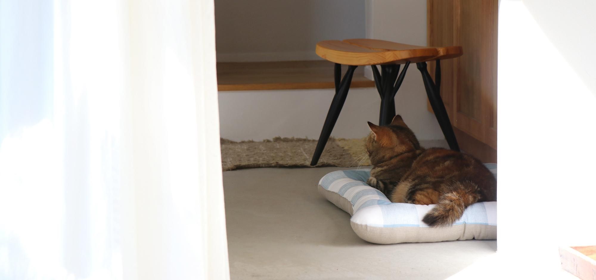 necoto ねこプフ NECOTO ®