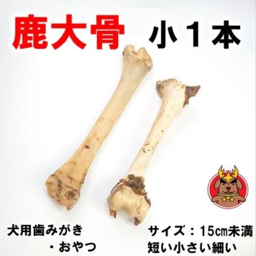 熊の骨　犬用品　約10キロ JW PET デンタル デンタルトイ 硬い 噛 み心地 ナイロン フレーバー チ