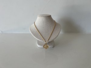 Medal Long Necklace/gold