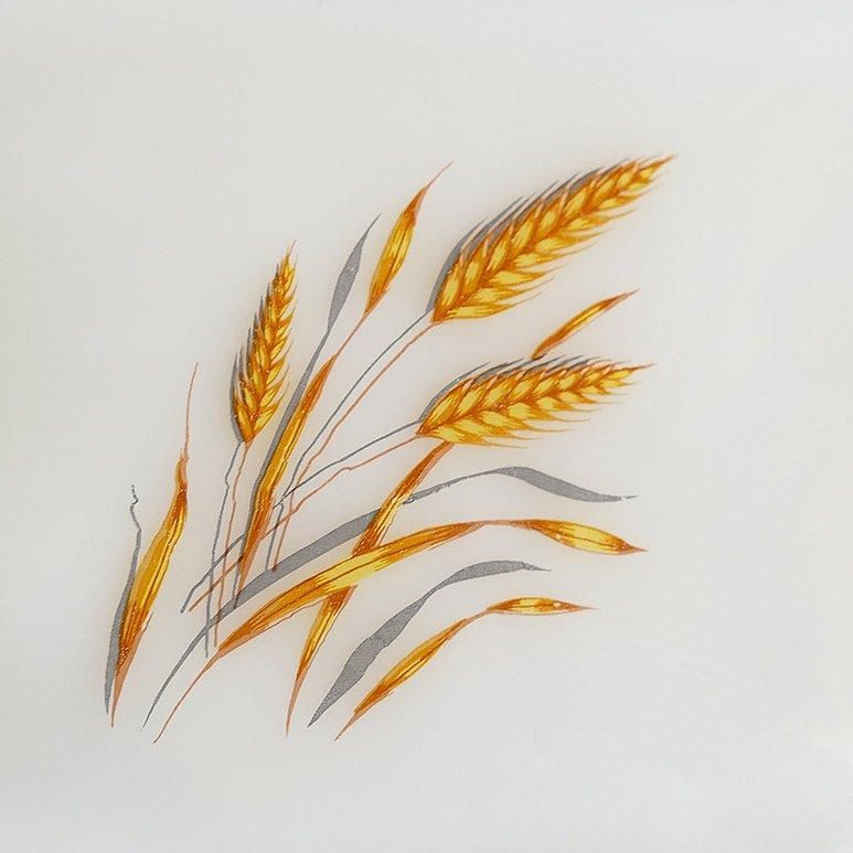 ☆4】ファイヤーキング ウィート スナックセット用プレート b