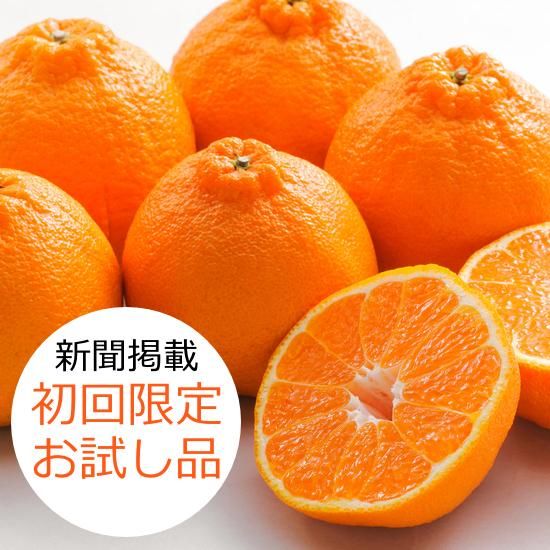 <img class='new_mark_img1' src='https://img.shop-pro.jp/img/new/icons61.gif' style='border:none;display:inline;margin:0px;padding:0px;width:auto;' />���ܻ����ǥ��ߤ��󡡣�����