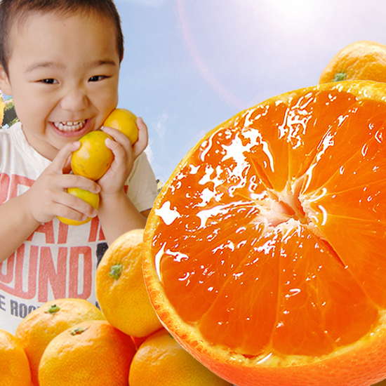 <img class='new_mark_img1' src='https://img.shop-pro.jp/img/new/icons61.gif' style='border:none;display:inline;margin:0px;padding:0px;width:auto;' />ܻƤäڤߤ󣱣